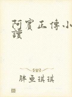 阿宾正传小说在读