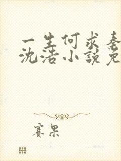 一生何求秦菲雪沈浩小说免费阅读全文笔趣阁