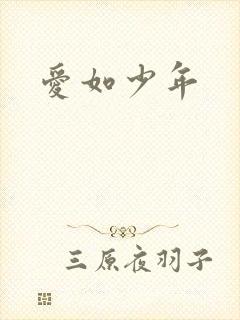 爱如少年