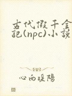 古代假千金挨日记(npc)小说