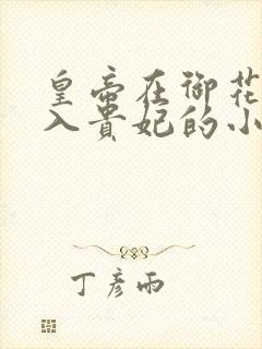 皇帝在御花园进入贵妃的小说