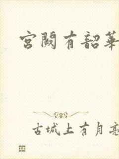 宫阙有韶华