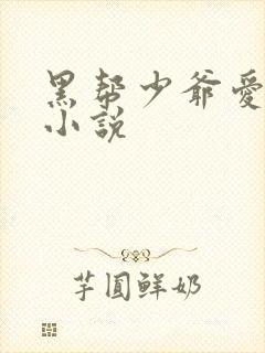 黑帮少爷爱上我小说