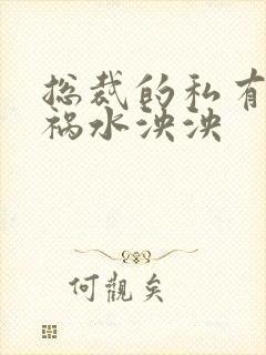 总裁的私有宝贝祸水泱泱