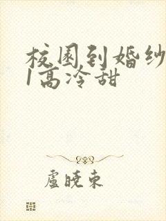 校园到婚纱1V1高冷甜