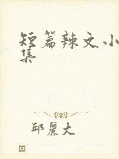 短篇辣文小说合集