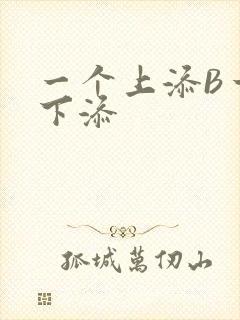 一个上添B一个下添