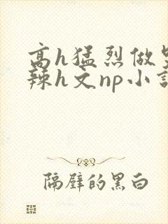 高h猛烈做哭高辣h文np小说