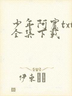 少年阿宾txt全集下载