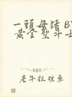 一头母猪 BY 黄金圣斗士