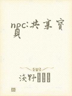 npc:共享宝贝