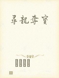 寻龙夺宝