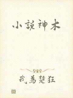 小说神木