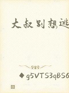大叔别想逃