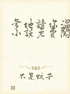 爹地请你温柔点小说免费阅读