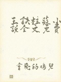 王铁柱苏小汐小说全文免费阅读最新章节