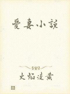 爱妻小说
