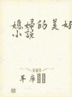 媳妇的美好时代小说