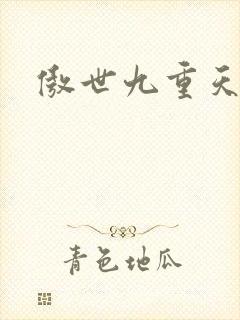 傲世九重天小说