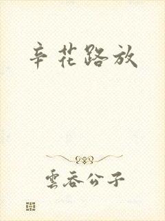 辛花路放