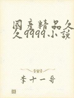 国产精品久久久久9999小说