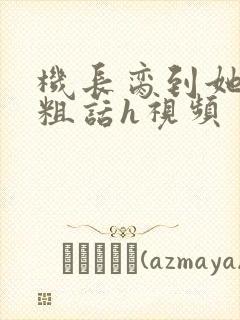 机长脔到她哭h粗话h视频