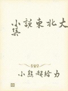 小说东北大炕全集