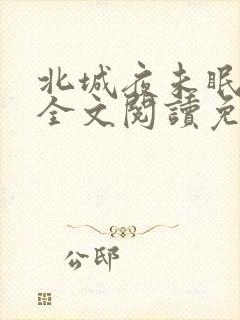 北城夜未眠小说全文阅读免费