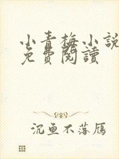 小青梅小说全文免费阅读