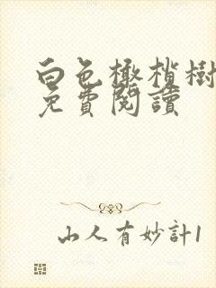 白色橄榄树全文免费阅读