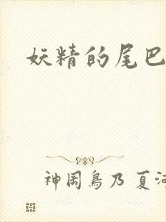 妖精的尾巴h