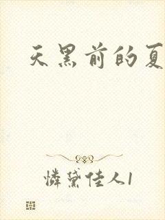 天黑前的夏天