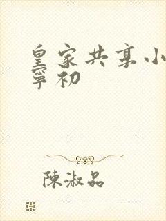 皇家共享小公主宁初