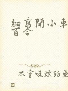 细写开小车车的百合