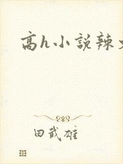 高h小说辣文