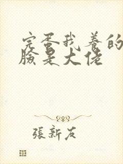 完蛋我养的小白脸是大佬