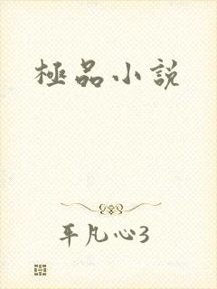 极品小说