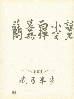 苏慕白小说笔趣阁无弹窗免费阅读