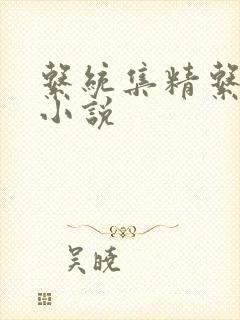 系统集精系统 小说