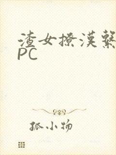 渣女撩汉系统NPC