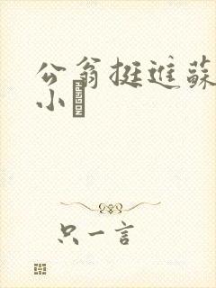 公翁挺进苏玥的小泬