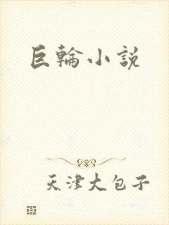 巨轮小说