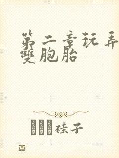 第二章玩弄少妇双胞胎