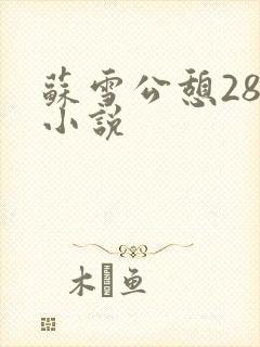 苏雪公憩28篇小说