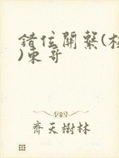 错位关系(校园)东哥