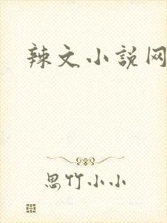 辣文小说网