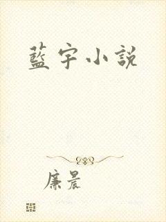 蓝宇小说