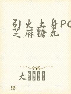 引火上身POP芝麻糖丸