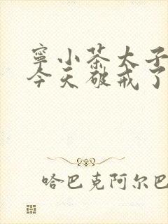 宁小茶太子殿下今天破戒了吗免费阅读