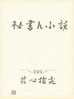 秘书h小说